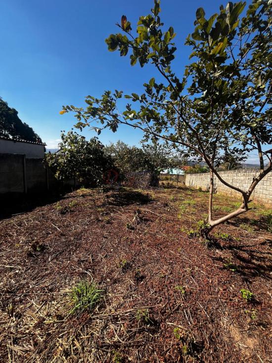lote-venda-francelinos-juatuba-1122114