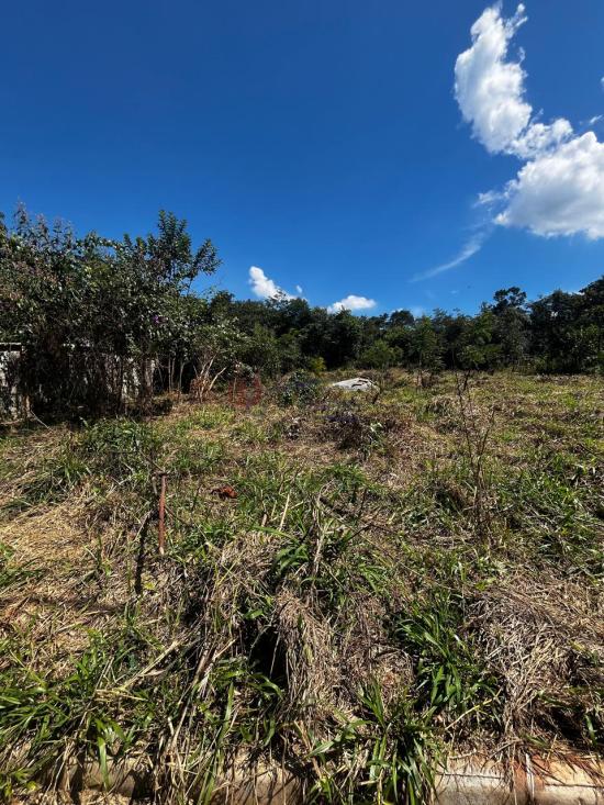 lote-venda-barcelona-igarape-1089517