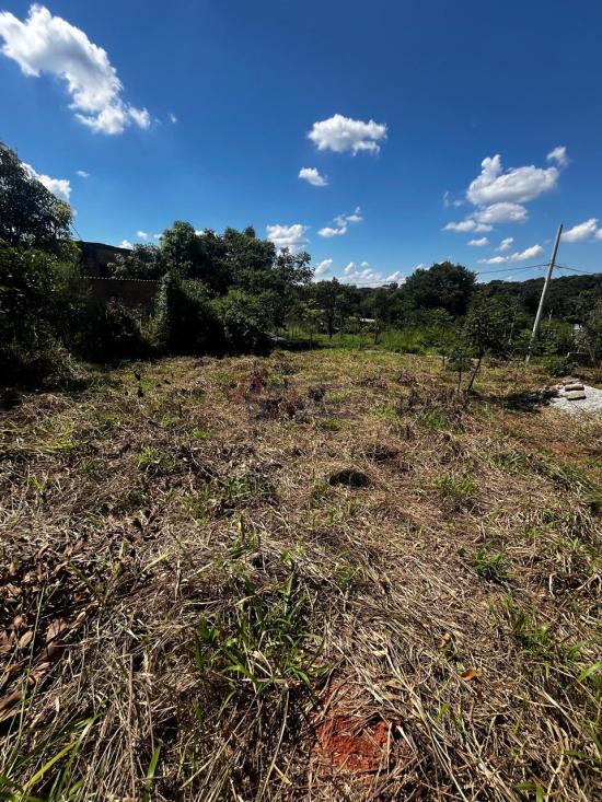 lote-venda-barcelona-igarape-1089529
