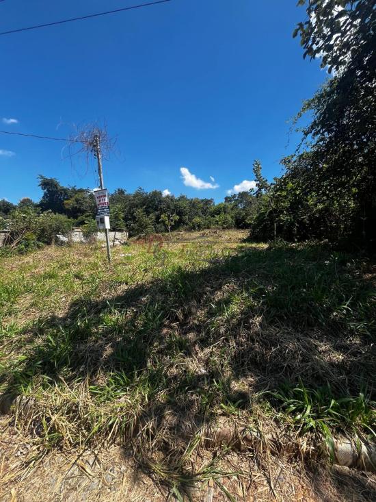 lote-venda-barcelona-igarape-1089519