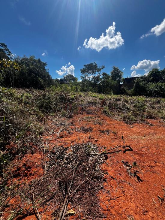 lote-venda-barcelona-igarape-1089524