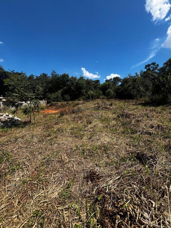 lote-venda-barcelona-igarape-1089525