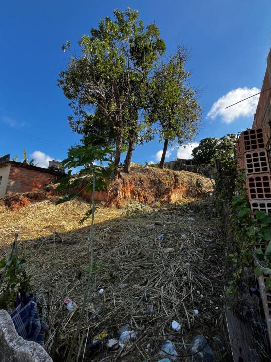 lote-venda-novo-horizonte-betim-1089851