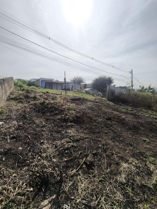 lote-venda-residencial-casa-grande-sao-joaquim-de-bicas-1107131