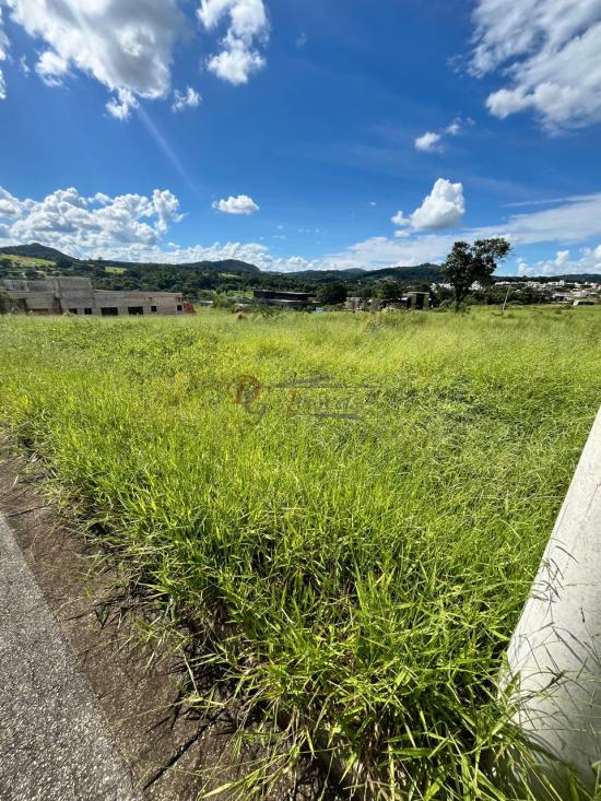 lote-venda-condominio-reserva-da-mata-betim-1084704