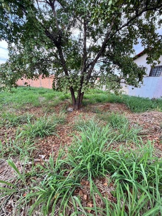 lote-venda-espirito-santo-betim-1068172