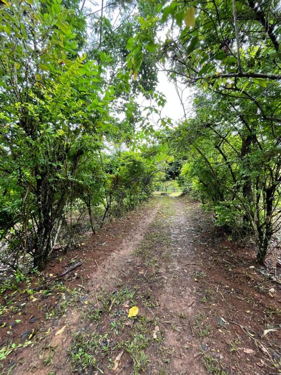 terreno-venda-piedade-das-gerais-minas-gerais-1085841