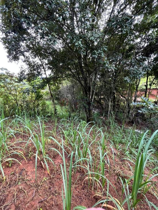 terreno-venda-piedade-das-gerais-minas-gerais-1085850