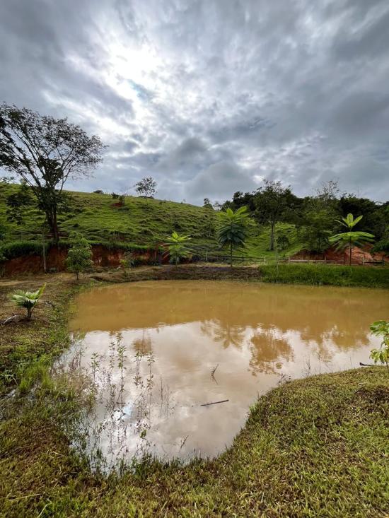 terreno-venda-piedade-das-gerais-minas-gerais-1085865