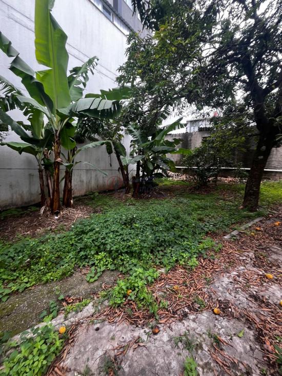 lote-venda-centro-betim-1151909