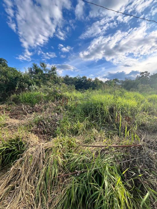 lote-venda-barcelona-igarape-1079779