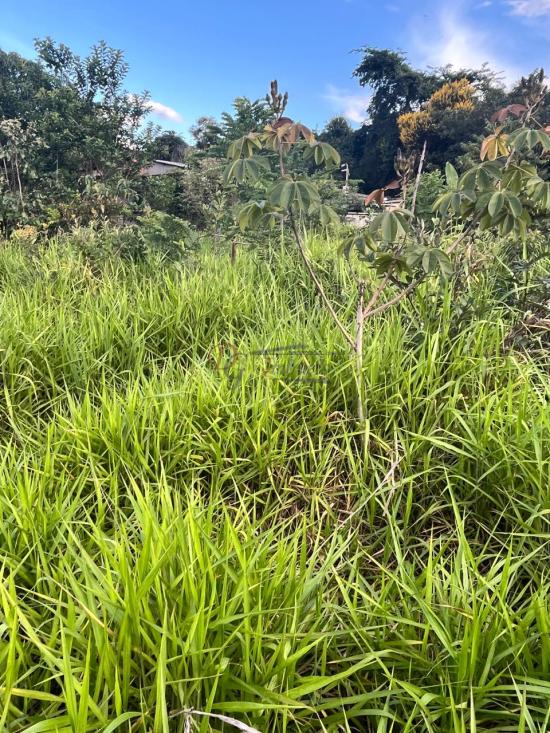 lote-venda-barcelona-igarape-1079789