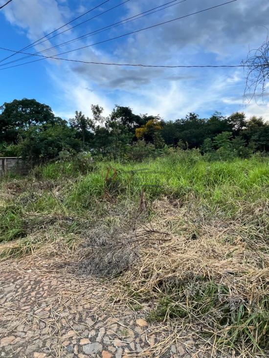 lote-venda-barcelona-igarape-1079794