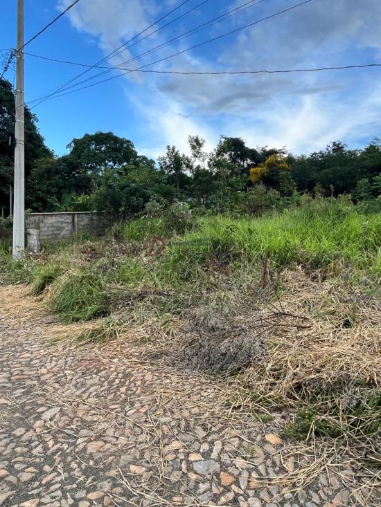 lote-venda-barcelona-igarape-1079795