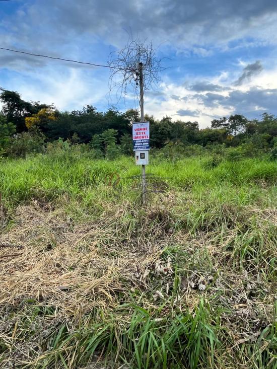 lote-venda-barcelona-igarape-1079797