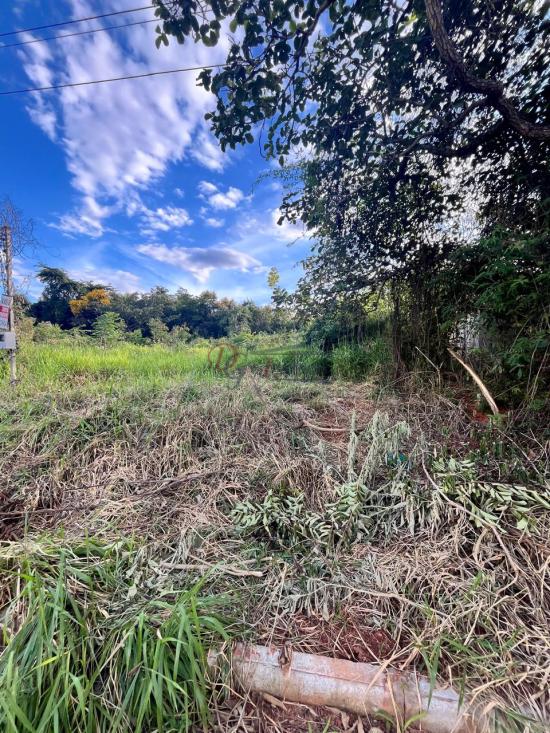 lote-venda-barcelona-igarape-1079780