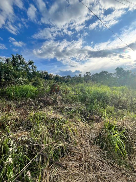 lote-venda-barcelona-igarape-1079781