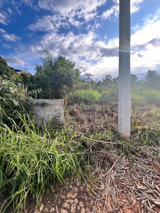 lote-venda-barcelona-igarape-1079783