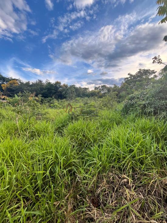 lote-venda-barcelona-igarape-1079786