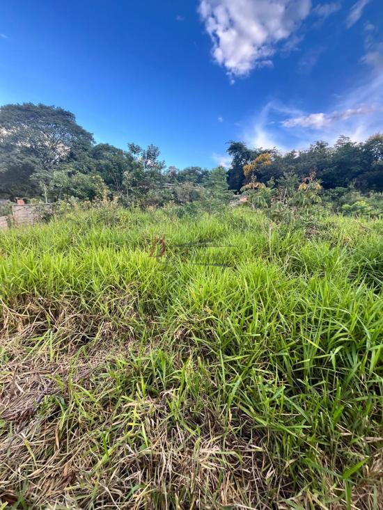 lote-venda-barcelona-igarape-1079787