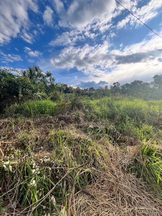 lote-venda-barcelona-igarape-1079801