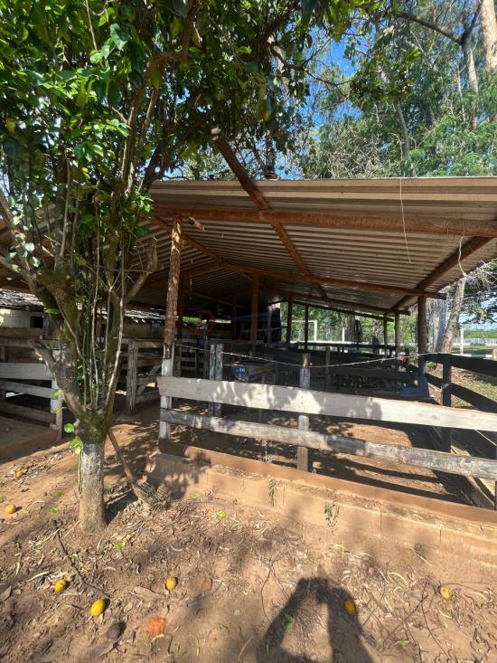 chacara-venda-francelinos-juatuba-1146822