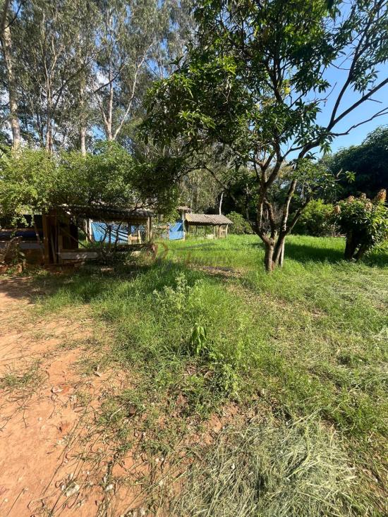 chacara-venda-francelinos-juatuba-1146823